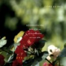 수송아이파크공인중개사사무소 | 군산 수송동 수송세영리첼 111동 저층 방3욕실2 매매...원 전세가능[갑공인중개사사무소 매물번호:100246]