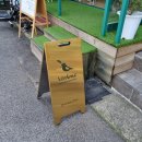 베르도네(Verdone) 이미지