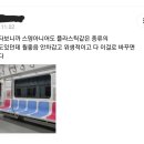 빈대 때문에라도 지하철,기차 직물의자들 싹 교체 해야함.jpg 이미지