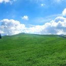 한우목장 이미지