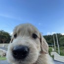 (주)친구들