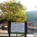 현동면사무소 이미지