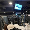 오브휘트니스