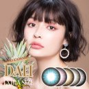 뉴비젼콘택트 이미지