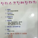 알파스크린골프 이미지