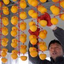 하나로리포스 이미지