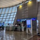 581 | 보홀 팡라오 직항 에어서울 RS581 , RS582 탑승후기
