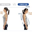 방배로42길 31-4 | 10대도 안심할 수 없는 거북목증후군, 방치하면 목디스크 될 수 있어