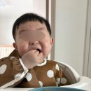 도토리 알러지/ 어린이집 적응끝