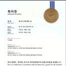 왕과비 Daum카페
