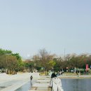 개밥주세요 이미지