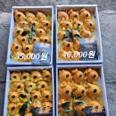 천금농장 이미지