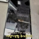 토탈여행사롯데관광 | 베트남 패키지여행 중 휴대폰 액정파손 여행자보험으로 깨진 액정 보상받은 후기