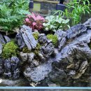 신용 아쿠아 수족관 이미지