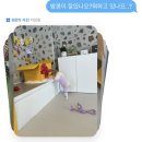 댕글멍글 이미지