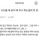 만삭 사진을 왜 굳이 배까고 찍는걸까 토 완 이미지