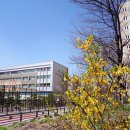 서농초등학교(병설) 이미지