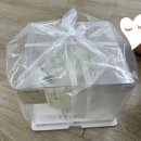 플로이크