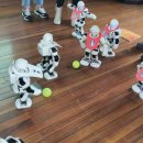 송정도서관 이미지