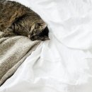 즐거운시간 이미지