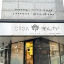 제이에이치드림 이미지