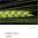 (주)보리로푸드시스템 이미지