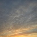 세남자의광택, 세남자의커스텀 이미지