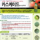 하대동312 이미지