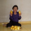 기쁜샘약국 이미지