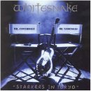 WHITESNAKE-SOLDIER OF FORTUNE 이미지