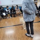 전일중학교 이미지