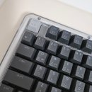 뜬금없는 디자인 | 로지텍 ALTO Keys K98M 무선 기계식 키보드 내돈내산 후기(키감, 도각도각 사운드)