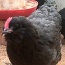 아성슈퍼 이미지