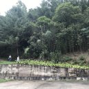 신경주상회