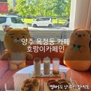 호랑이카페인