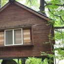 트리하우스 이미지