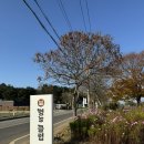 멍스 | 태안 애견 풀빌라 펜션 [멍스클럽] 대만족 후기 | 자쿠지, 수영장, 조식제공