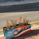 새삶스럽게 이미지