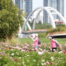 우리가족 정원 만들기 이미지