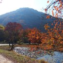 용흥사진입로 이미지