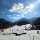 무주 | 무주리조트 스키샵 추천 무주리조트 스키장 이용 후기