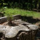 나남수목원(책박물관) 이미지