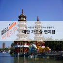 (유)서해고속관광 | 대만 타이베이에서 가오슝 가는법과 쭤잉역 짐보관위치 및 연지담과 용호탑 유바이크 사용기