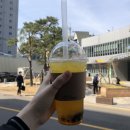 피자스쿨안면점 | 저는 아무말의 달인, 당신의 웃음을 찾아드립니다! 못찾으면? 안타깝네요.