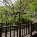 군위장곡자연휴양림 이미지