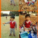 태조산 공원 이미지