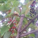 감천1동-11 이미지