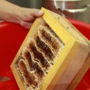 벌과 사람 이미지