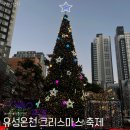 나를 위한 꽃한다발+리스 | 대전 크리스마스 축제 가볼만한 곳, 유성온천 크리스마스 축제 후기