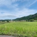 산방산탑부동산공인중개사사무소 이미지